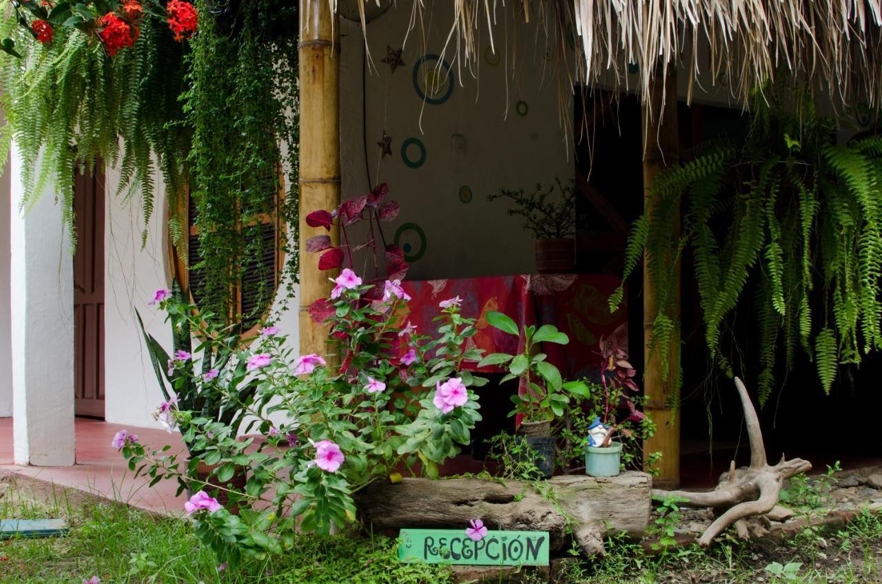 Hostal Corazon De Tagua Palomino Luaran gambar