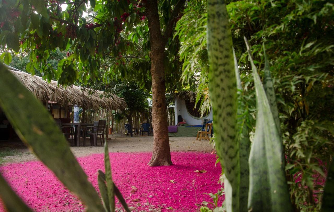 Hostal Corazon De Tagua Palomino Luaran gambar