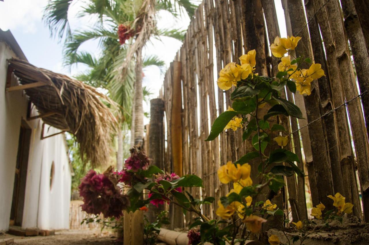 Hostal Corazon De Tagua Palomino Luaran gambar
