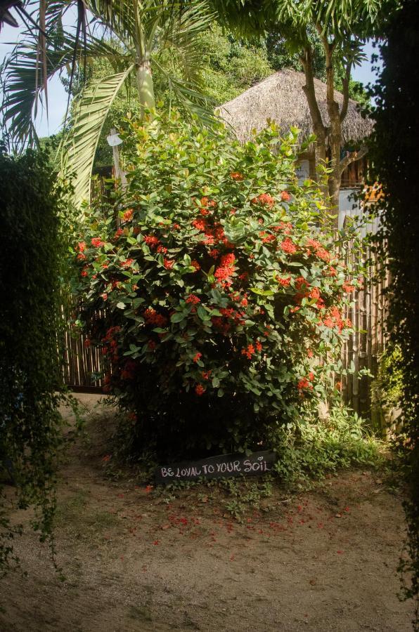 Hostal Corazon De Tagua Palomino Luaran gambar